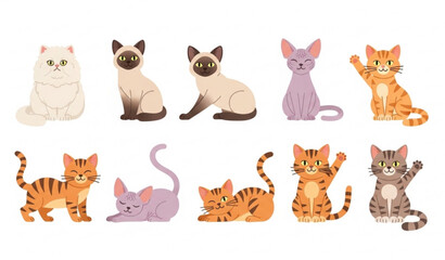 Naklejka premium Cute flat cartoon cat breeds set with Persian Siamese Sphynx Bengal and tabby in playful poses isolated on white