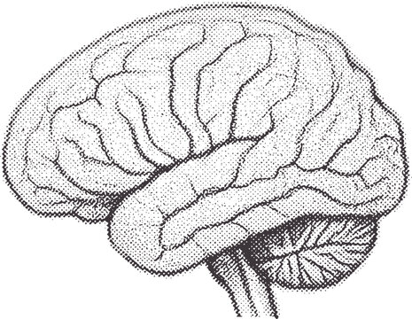 Black and white halftone dot of a human brain in profile anatomy science medical