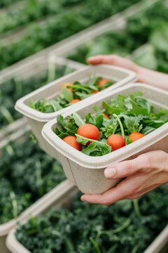 A close-up demonstration of biodegradable packaging being composted, highlighting the advantages of eco-packaging materials in reducing environmental impact compared to traditional plastic options.