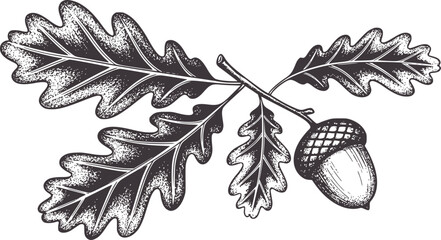 Dark grey oak leaves and acorn white branch nature © Ali