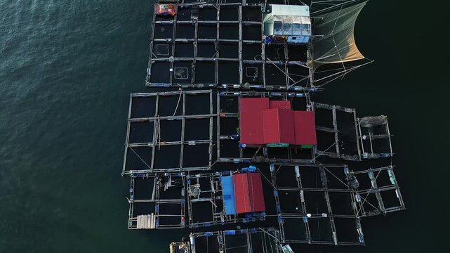 Aerial view of a traditional floating fishing village with colorful rooftops and fish cages on the calm waters of Ha Long Bay, Vietnam. The scene captures the unique structure and lifestyle of this