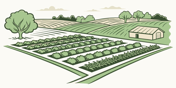 Stylized illustration of a green farm landscape with rolling hills rows of crops trees a small farm building landscape agriculture countryside vegetable production cultivation building