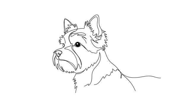 Yorkshire terrier dog portrait line drawing on minimalist gray background