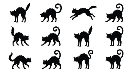 Halloween black cat silhouettes, set of 12 spooky feline vector icons, arched back and hissing cat shapes, scary kitten silhouettes for holiday design © Zubair