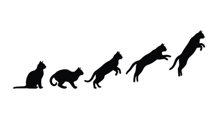 Black cat silhouette jumping sequence, domestic cat movement animation frames, feline leaping and pouncing vector set on white background © Zubair