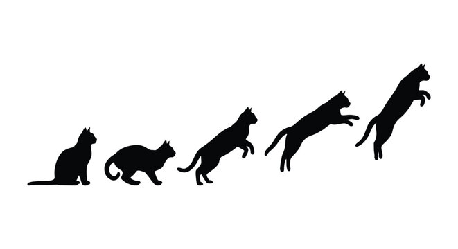 Black cat silhouette jumping sequence, domestic cat movement animation frames, feline leaping and pouncing vector set on white background