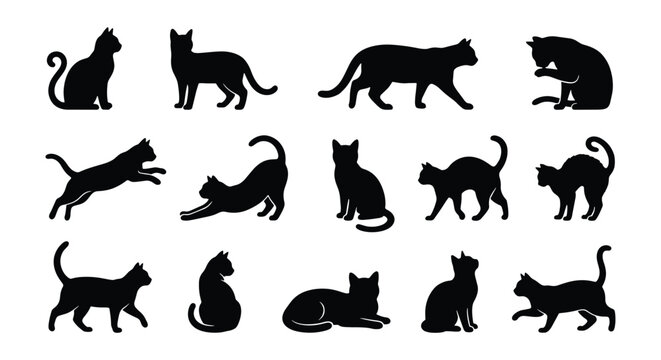 Black cat silhouettes collection, 14 feline vector icons in various poses, domestic cat profile shapes, pet animal silhouettes for logo design