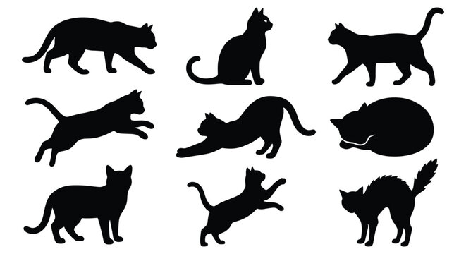 Black cat silhouettes set, collection of 9 feline vector icons in various poses, domestic cat profile shapes for pet shop branding and animal logos