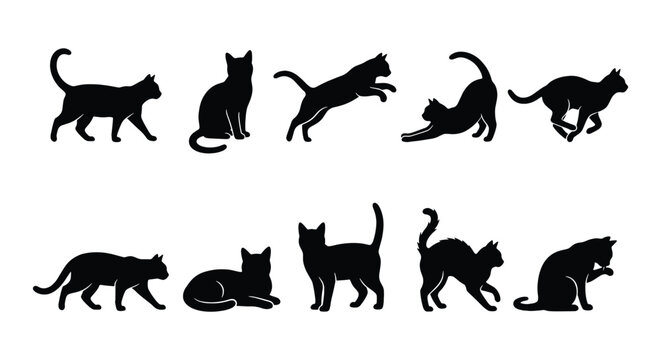 Black cat silhouettes collection, 10 feline animal vector icons in various poses, domestic pet silhouettes for logo design and web graphics