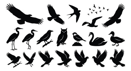 Fototapeta premium Black bird silhouettes collection, 20 flying and perched avian vector elements, eagle and owl icons, wild bird nature graphics for logo design
