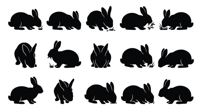 Rabbit silhouette collection with 15 bunny icons, black hare vector set in various poses, minimalist animal shapes for Easter and nature design
