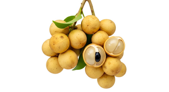 Fresh pale yellow langsat duku cluster with peeled translucent flesh isolated on a pure white background