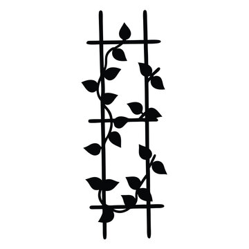 Black silhouette of climbing vine plant supported by a simple wooden trellis