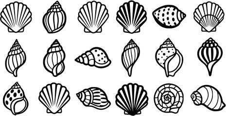 Marine Seashells Black  White Line Art Icon Set. Hand Drawn Ocean Shell Outline Glyphs for Nature and Beach Designs. © pixsource