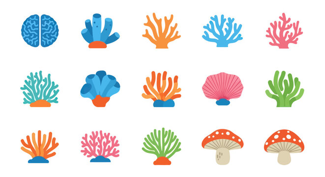 Diverse Coral Reef Icons and Brain, Mushroom Illustrations