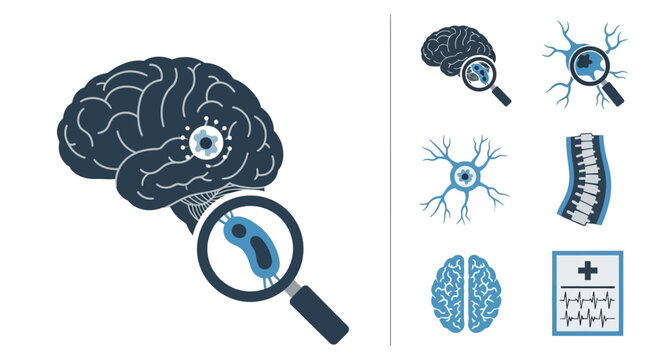 A magnified view of a human brain with neurons and a magnifying glass examining its details closely.
