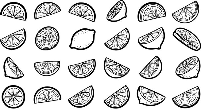 Food Industry Black and White Line Art Illustration Set: Hand-drawn Citrus Fruits, Lemons, Limes  Slices Doodle Collection for Healthy Concepts