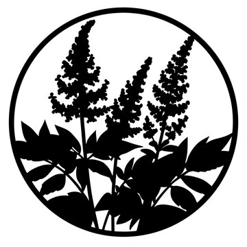 Astilbe flower silhouette vector, botanical garden plant in circular frame, black and white floral emblem, minimalist nature illustration for laser cutting