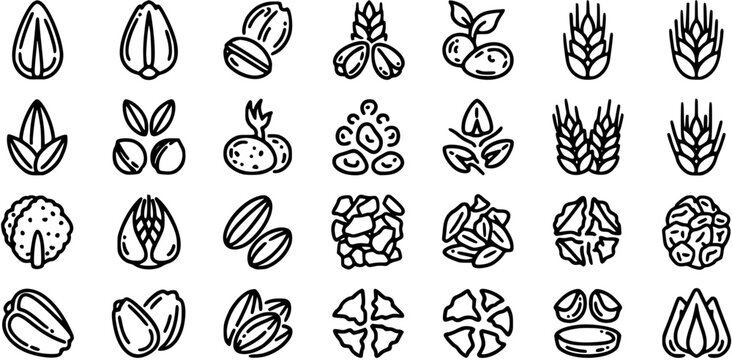 Food  Agriculture Black and White Line Art Icons: Healthy Nuts, Seeds, Grains, and Legumes Outline Vector Collection
