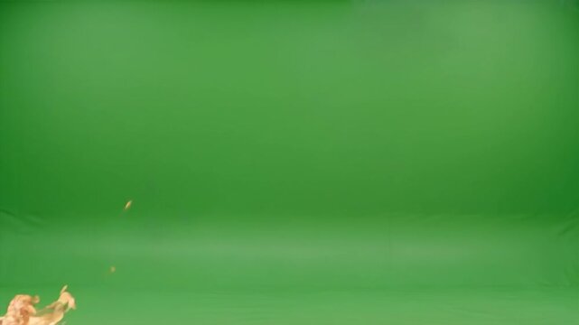 Bottom Left Angled Fire Blast Green Screen 4K Video