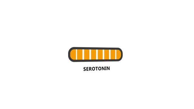 Progress bar. Hormone serotonin growth indicator. Influence of serotonin on sexual activity.