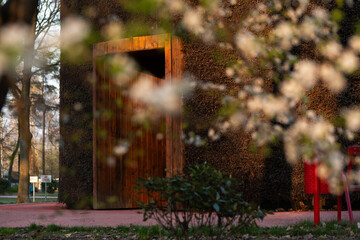 Wiosenny park  w Czechowice Dziedzice z kwitnącymi drzewami i ciepłym światłem słonecznym © Elżbieta Kaps