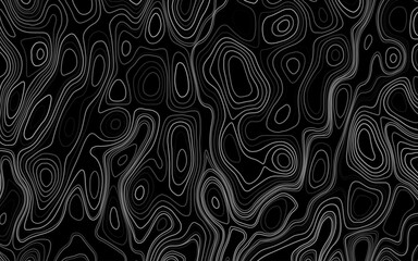 Fototapeta premium Seamless abstract topographic lines vector illustration