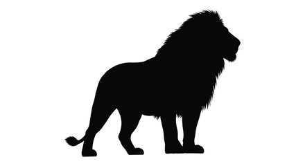 A majestic african lion stands proudly in a striking black silhouette © MIRAJ02