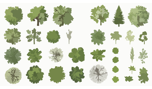 Tree top view vector set &ndash; aerial landscape architecture plant collection