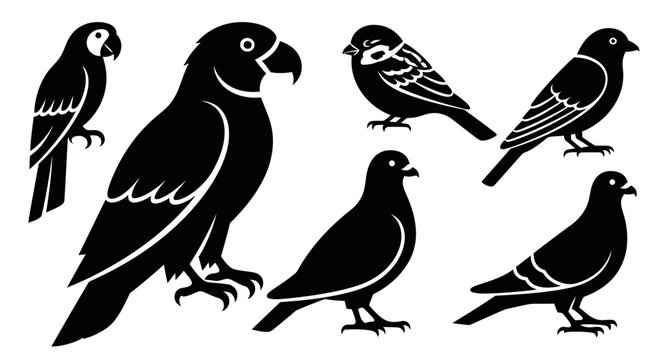 Black Bird Silhouettes Collection: Diverse Wildlife Icons for Graphic Design
