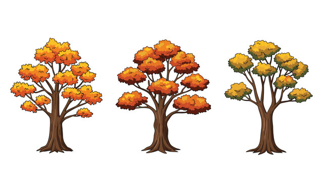 Three diverse autumn deciduous trees with vibrant orange and yellow foliage isolated on a clean white background.