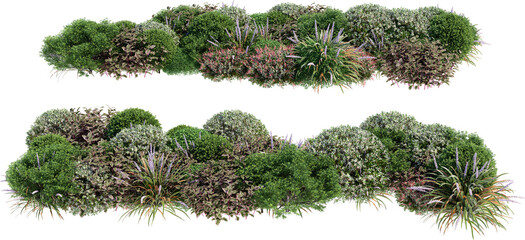 Shrubs and flower on a transparent background © jomphon