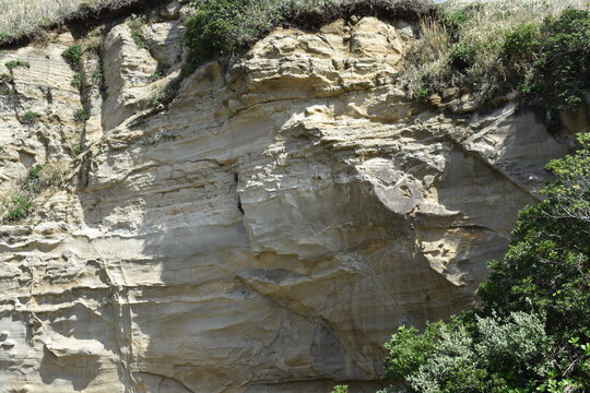 かつうら海中公園