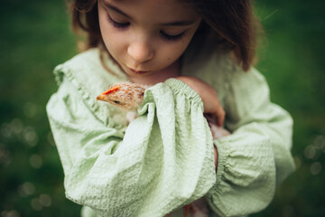 Child gently holding baby chicken, playing in garden during spring. © Halfpoint