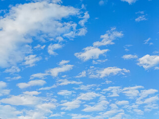 Fototapeta premium Beautiful blue sky with unusual white Altocumulus undulatus clouds, extraordinary cloud formation. White cirrocumulus clouds, altocumulus cloudy skies, stratocumulus cloud texture, blue sky background