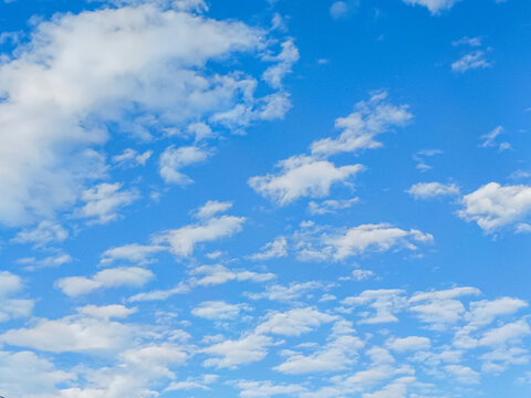 Beautiful blue sky with unusual white Altocumulus undulatus clouds, extraordinary cloud formation. White cirrocumulus clouds, altocumulus cloudy skies, stratocumulus cloud texture, blue sky background