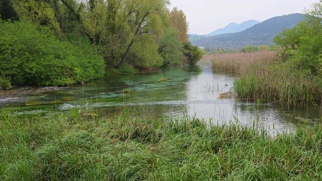 Crystal Clear Turquoise Waters and Lush Green Vegetation at Sorgenti del Pescara Nature Reserve in Abruzzo Italy