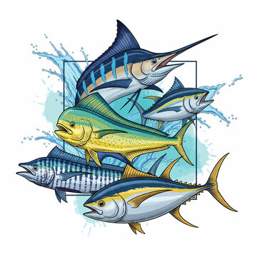 marlin mahi mahi tuna wahoo illustration isolated on white background.