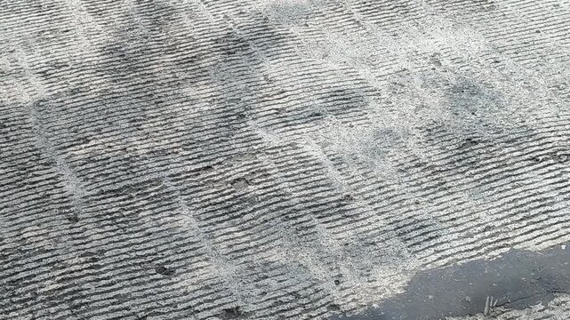 Tree shadows gently swaying in the wind, forming dynamic patterns on the ground, blending light and motion into a calm, natural scene full of subtle beauty.