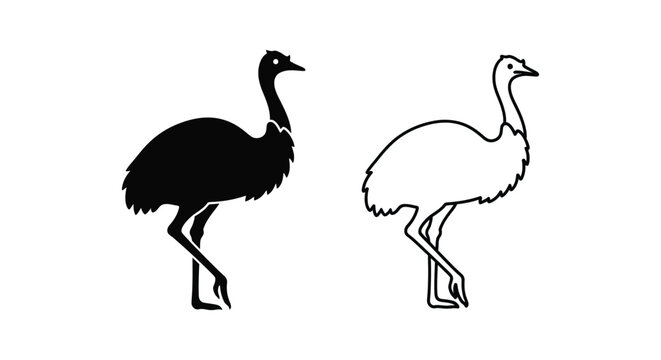 Ostrich icons, black silhouette and outline, bird illustrations, vector graphics