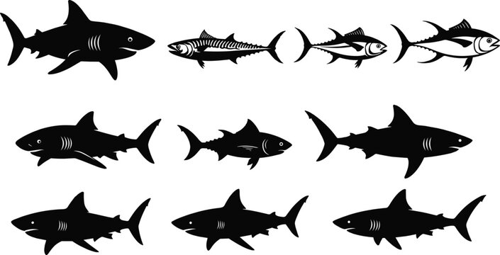 Set of shark silhouettes collection isolated black marine fish icons including great white and ocean predator vector illustration