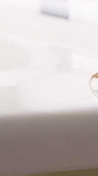 Vertical video. Close View of Spider Moving Along Toilet Surface in Bright Bathroom Environment Captured in Macro Perspective, Fear of Insects and Everyday Phobia Concept