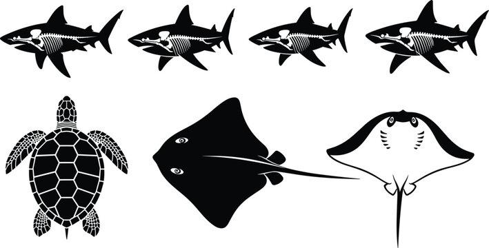 Silhouettes of sharks, sea turtle, stingray, and manta ray with skeletal details highlighting marine anatomy and diversity