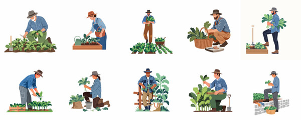 Fototapeta premium Set of flat vector illustrations featuring diverse men and women harvesting fresh kale, gardening, and farming in different poses and settings.