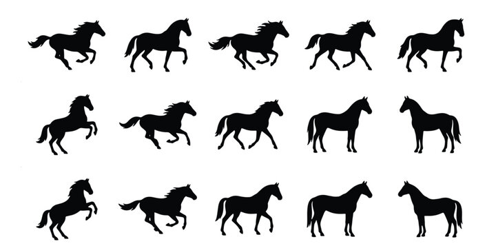 Black horse silhouette collection, 15 stallion vector icons in various poses, running and jumping equine shapes, wild mustang movement set