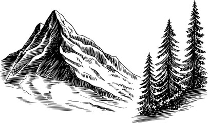 Hand-drawn of a mountain peak with pine trees, black ink white forest © Iman