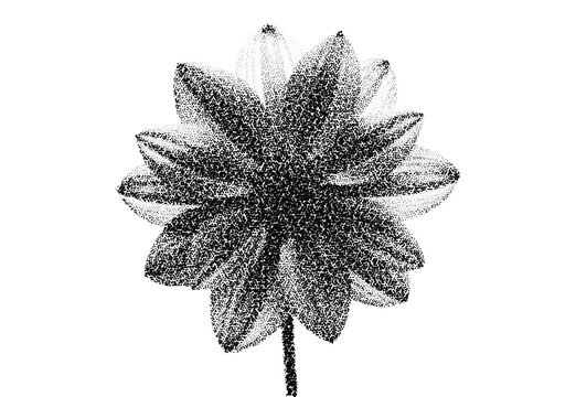 Black and white dot art flower drawing halftone pattern abstract flora illustration botanical design element unique texture background