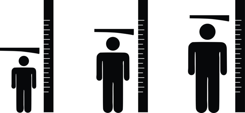 Human Height Measurement Icons Set, Growth Comparison with Ruler Scale, Minimal Stick Figure Height Chart Vector Illustration