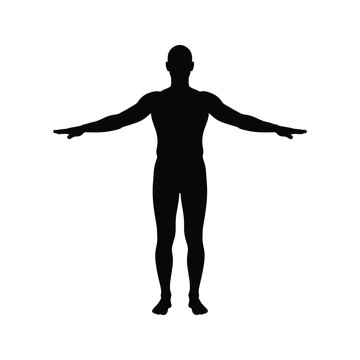 Male body silhouette vector illustration showing human anatomy with arms extended in t-pose position on white background set.