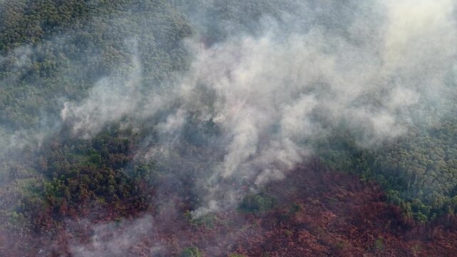 Drone aerial of peat soil burning, smoke rising over damaged wetland forest.